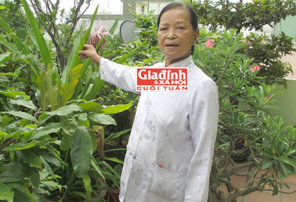 Lương y Quế chia sẻ về công hiệu của những cây thuốc trị tiểu đường bà tự tay trồng trong vườn nhà.