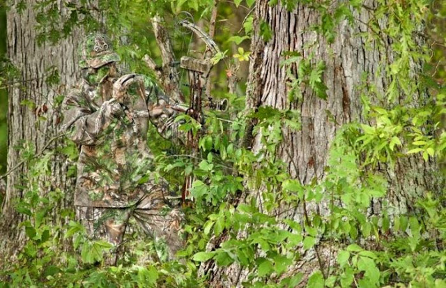 Binh sĩ cùng với cây cung được nguy trang lẫn với màu lá và thân cây trong rừng.