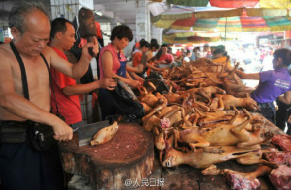 yulin1-1.jpg