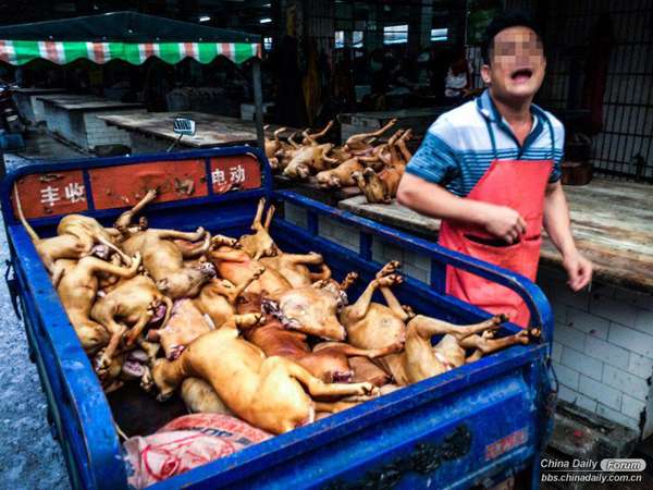 Vendors just buy more dog meat when they prepare for the Dog Meat Festival.