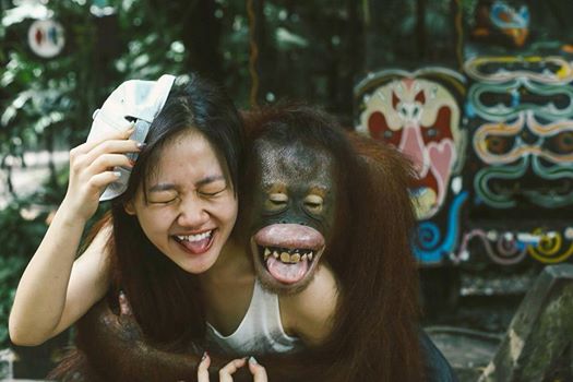 Đười ươi luôn là loài động vật thông minh và vui nhộn. Hình ảnh về chúng chắc chắn sẽ mang lại nhiều niềm vui và giải trí cho bạn.