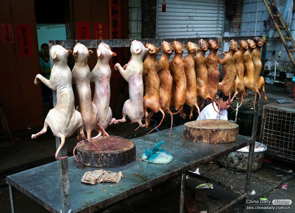 The market for the dog meat.