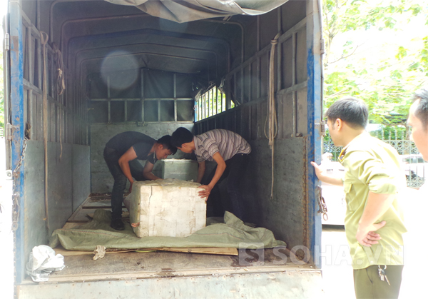 Tại thời điểm này, lái xe Sơn không xuất trình được giấy tờ chứng minh nguồn gốc của toàn bộ số hàng kể trên.