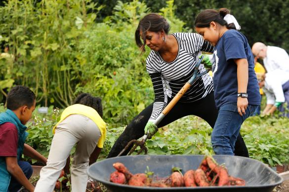 Đệ nhất phu nhân Tổng thống Mỹ, bà Michelle Obama cùng các học sinh thu hoạch rau củ trong vườn của Nhà Trắng ở Washington.