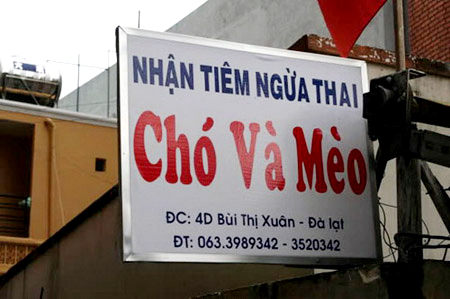 thương-hiệu, người-nổi-tiếng, ăn-theo, độc, thương-trường