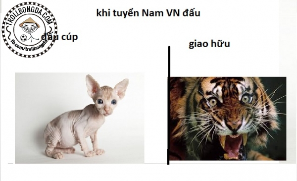 Có thật là ĐT Việt Nam bị như thế này?