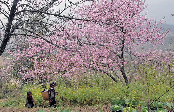 Đẹp đến 