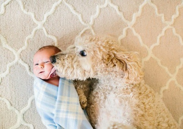 Những bức ảnh về tình bạn giữa bé và thú cưng khiến trái tim tan chảy 15