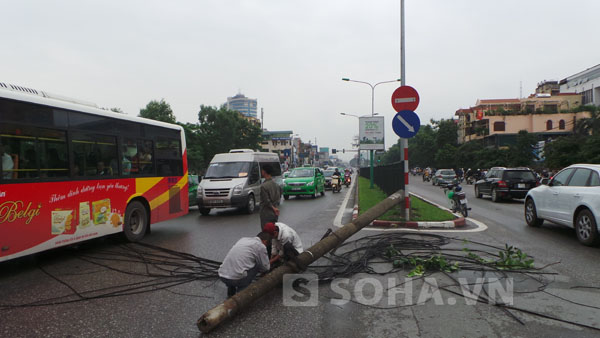 Theo người dân khu vực, vào thời điểm trên giữa lúc trời mưa to thì bất ngờ phát hiện một cây cột điện cùng nhiều dây cáp đổ và nằm rạp xuống đường.