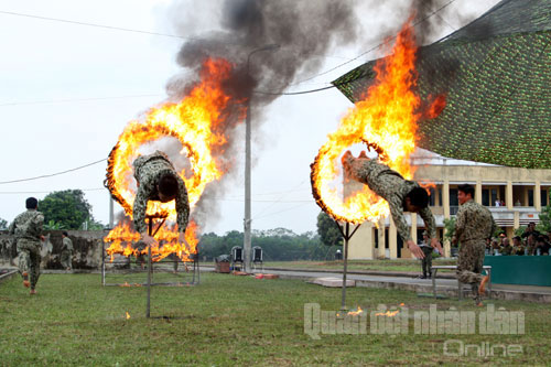 Phi thân qua vòng lửa.