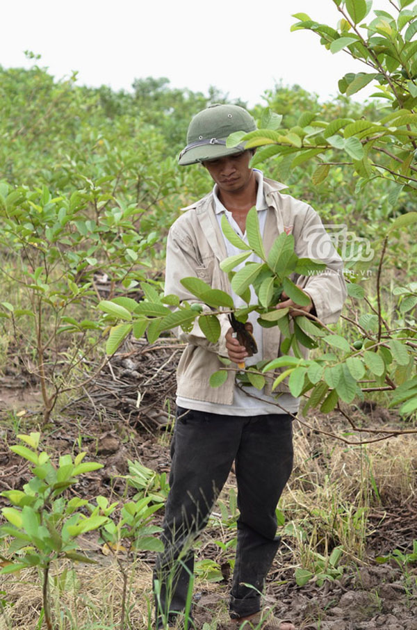 Những gương mặt tạo sóng trong cộng đồng mạng năm 2014