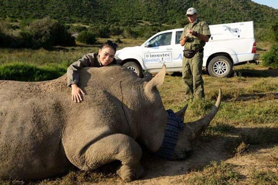 Thu Minh sang Nam Phi gắn chip lên sừng tê giác vào dịp tháng 4 vừa qua.
