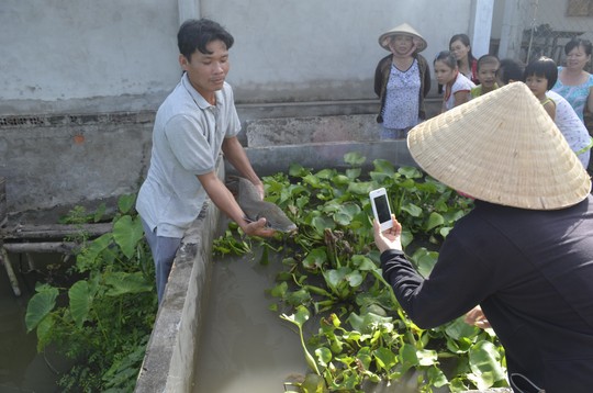 Người dân hiếu kỳ đến xem và chụp ảnh cá lạ