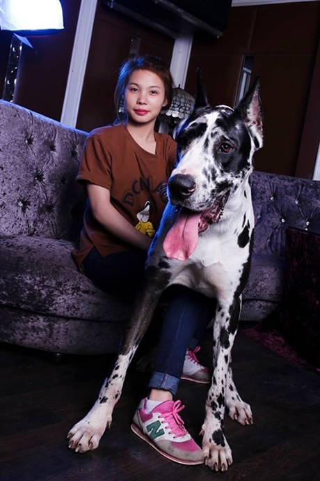 Nữ sinh Việt và sở thích nuôi thú cưng độc