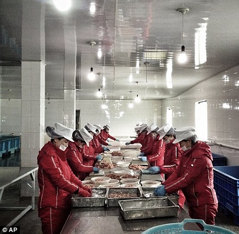 Công nhân Bắc Triều Tiên sắp xếp hải sản tại một nhà máy ở Rajin