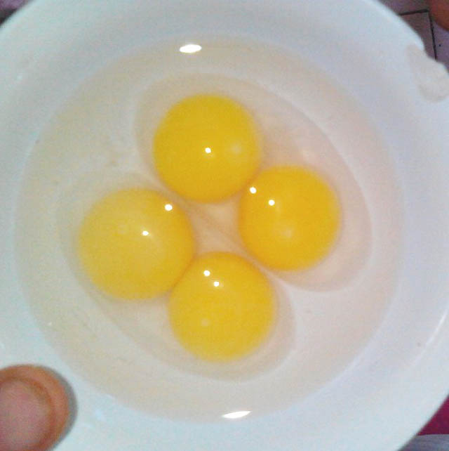 trứng-vịt, bất-thường, hai-lòng-đỏ, kỳ-lạ, Quảng-Nam, gia-cầm, gà