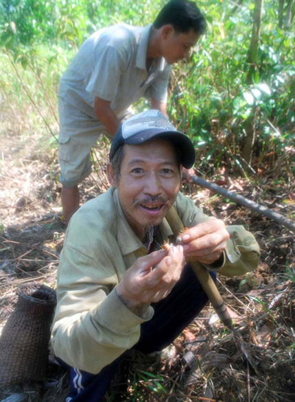 sùng-đất, Cơ-Tu, thuốc-quý, gia-truyền, cường-dương, phòng-the