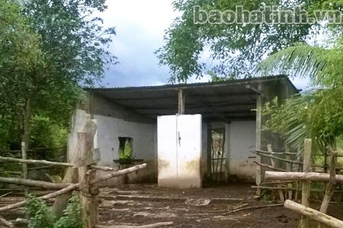 Những chuồng trâu kiên cố được làm ở ven bìa rừng Vườn quốc gia Vũ Quang để giam những chú trâu luông khi bắt được.