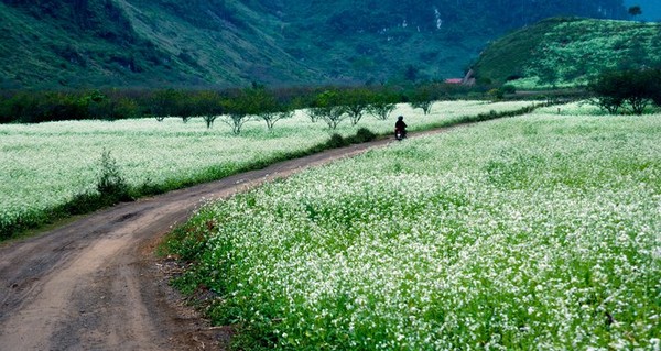 Đẹp đến 