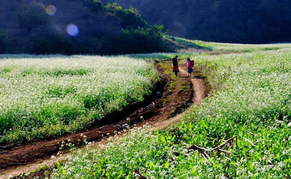 Đẹp đến 