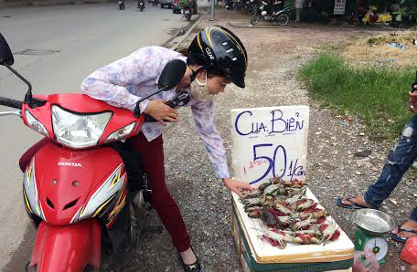 cua, ghẹ, giá-rẻ, siêu-rẻ, bán, vỉa-hè, Hà-Nội, Trung-Quốc, Cà-Mau