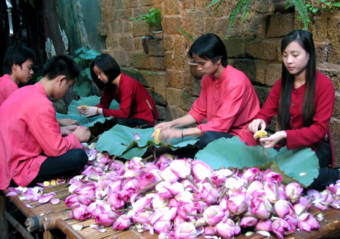 trà-sen, Hồ-Tây, Tây-Hồ, đầm-sen, hoa-sen, chụp-ảnh, Hà-Nội, văn-hóa