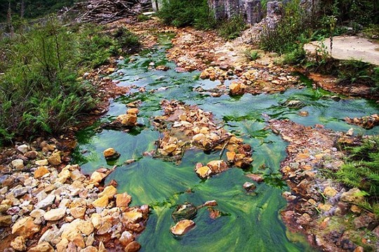 Làng toàn “dị nhân” vì sống trong ô nhiễm