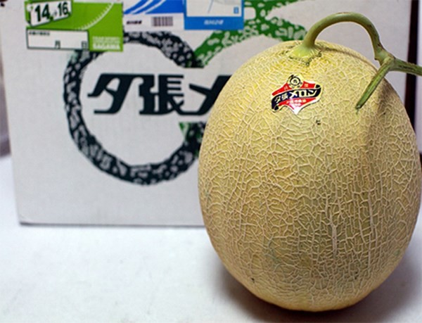 Một cặp dưa vàng Yubari King của Nhật Bản từng được rao bán trên mạng internet với giá 23.500 USD (tương đương 490 triệu đồng) và được coi là loại trái cây đắt tiền nhất thế giới.