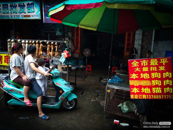 Faced with disputes on the internet, Vendors say that nobody eats dogs kept as pets, nor do they sell these dogs. They dont kill dogs in public.