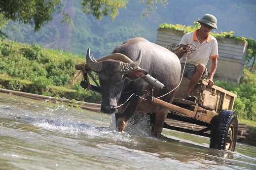 Nơi phụ nữ phải thay 3 cái quần mỗi khi đi chợ - Ảnh 4