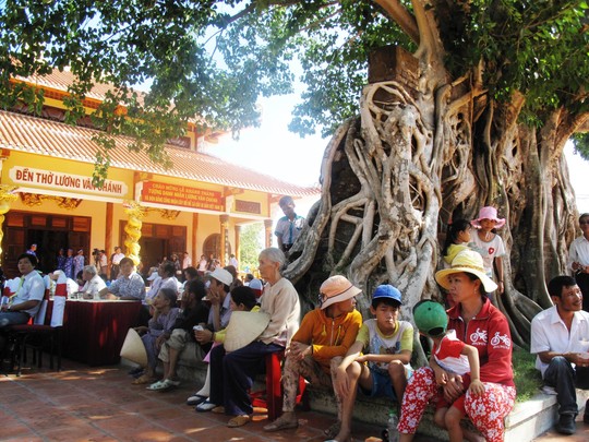 Cây cổ thụ vẫn còn tươi tốt, tạo bóng mát cho người dân nghỉ chân mỗi khi đến viếng thành hoàng