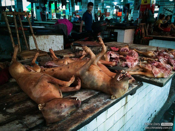 Street of dog meat. Around 13 sidewalk snack booths which sell dog meat are here.