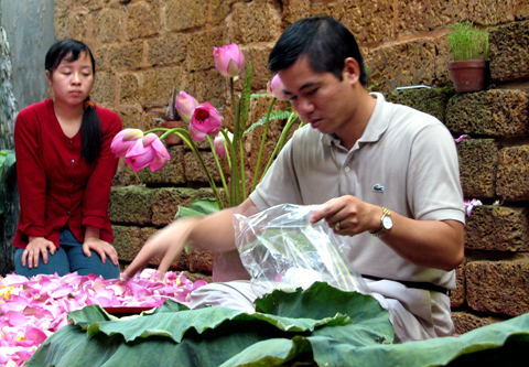 trà-sen, Hồ-Tây, Tây-Hồ, đầm-sen, hoa-sen, chụp-ảnh, Hà-Nội, văn-hóa