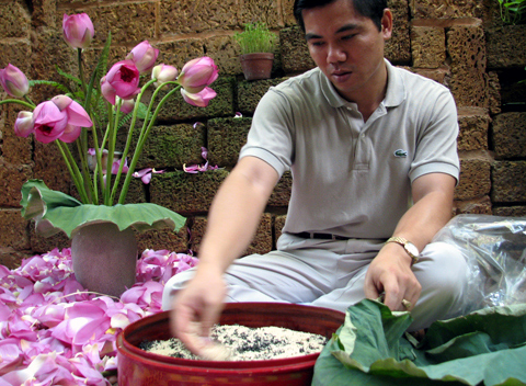 trà-sen, Hồ-Tây, Tây-Hồ, đầm-sen, hoa-sen, chụp-ảnh, Hà-Nội, văn-hóa