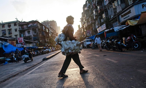 Người đàn ông đeo gà đi qua đường tại một chợ bán buôn gia cầm tại thành phố Mumbai, Ấn Độ.