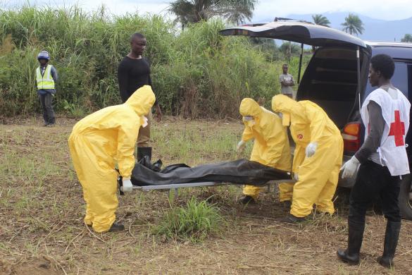 Nhân viên y tế đưa thi thể của một nạn nhân tử vong do nhiễm virus Ebola đi chôn cất tại thị trấn Freetown, Sierra Leone.