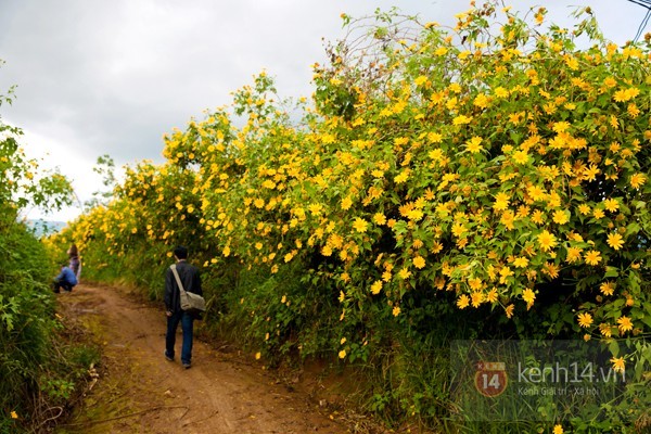 Đẹp đến 