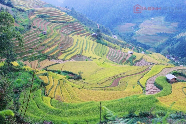 Những bức ảnh này được chụp tại xã Chế Cu Nha, quanh thị trấn Mù Cang Chải, dọc bên đường quốc lộ từ Tú Lệ lên thị trấn.