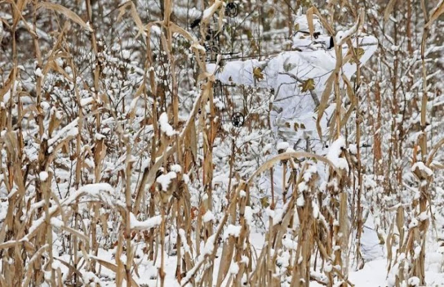Còn ở khu vực băng giá, có tuyết phủ, màu sắc của ngụy trang thường là màu trắng và xám.
