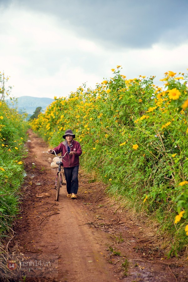 Đẹp đến 