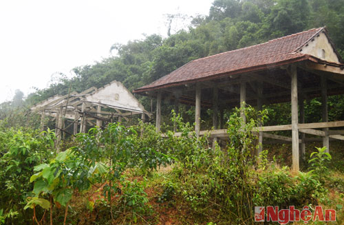 Nguyên nhân dẫn đến tình trạng khu tái định cư bị bỏ hoang là bởi thiếu vốn để hoàn thiện hệ thống nước sạch và một số hạng mục công trình khác. Trong khi đó, người dân Đan Lai đang sinh sống ở thượng nguồn Sông Giăng không muốn rời di chuyển ra khu tái định cư. Người dân xã Thạch Ngàn mong muốn, cơ quan chức năng sẽ sớm có biện pháp để sử dụng hợp lí 