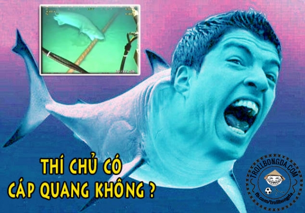 Trong lúc đó thì Suarez thì bận đi cắn... cáp quang