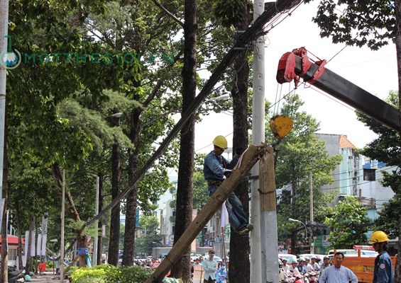 Công ty điện lực thành phố thay thế các trụ điện bị gãy ngã.