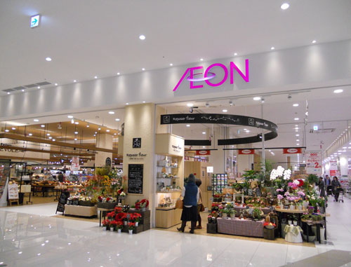 Tập đoàn Aeon Mall bắt đầu mở hệ thống trung tâm mua sắm ở Việt Nam vào năm 2013.