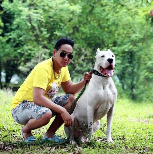 Chú chó tên Zhiu Feng thuộc dòng Dogo Argentino.