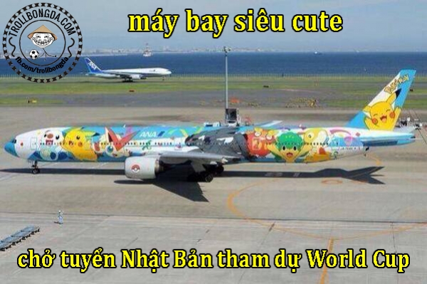 Máy bay của ĐT Nhật quá kute