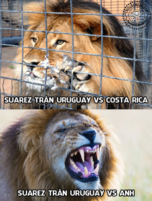 Suarez đúng nghĩa Sư tử xổng chuồng