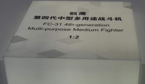Mô hình được trưng bày tại triển lãm Chu Hải. Tại triển lãm này, Tập đoàn AVIC đã công khai ý định sẽ xuất khẩu máy bay chiến đấu thế hệ 5 J-31 trong tương lai gần.