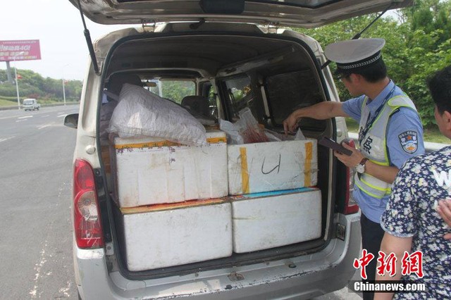 Một xe tải chở 200 nhau thai người đã bị cảnh sát giao thông thu giữ trên đường cao tốc Zhang- Ji ở tỉnh Giang tây, phía đông Trung Quốc hôm 27/5.