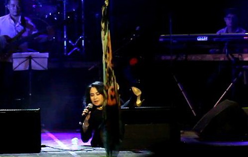 Trong đêm nhạc Cầm tay mùa hè 2012, diva Thanh Lam bất ngờ vấp phải loa và ngã ngửa về phía sau.